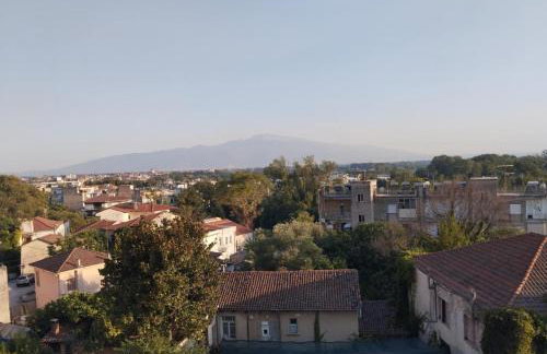 Belvedere 3 - Studio - Foto 22