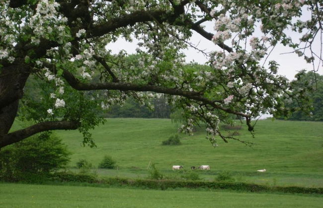 Spacious Place in Hamoir - Foto 38