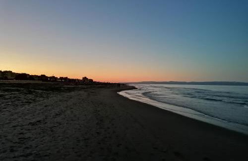 Fenicottero Rosa - Foto 37