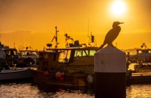 Poole Quay Apartment - Perfect Location - Beatiful Roof Terrace - Free Parking - Photo 1