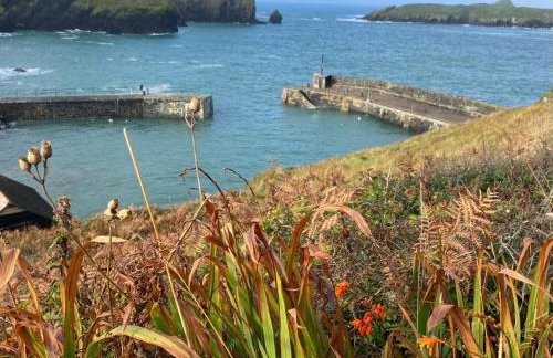 Entire cottage in Mullion Cove - Foto 19