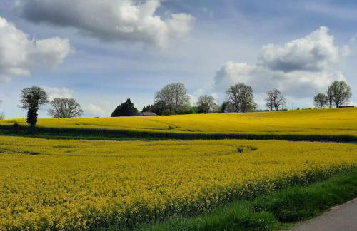 Maison d'Amis Des Hirondelles - Foto 40