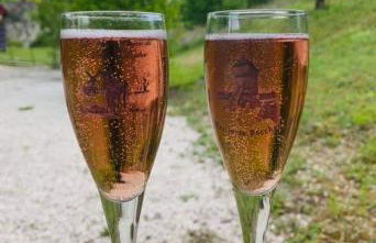 Le Prestige des Délices - Foto 21