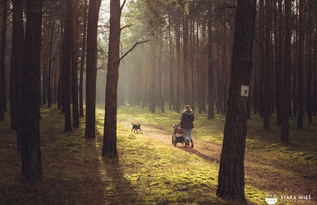 Resort Stara Wieś - Foto 59