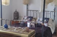 Cortijo Baul - Photo 11