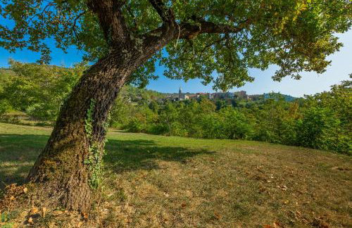 Stanzia Sparagna - Foto 20