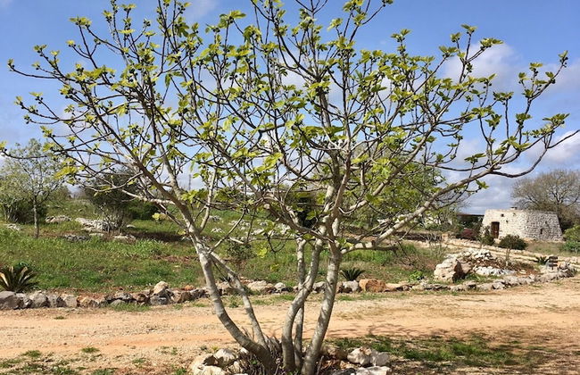 Agriturismo Le Fornelle - Foto 50
