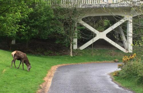 Etive Pod, West Highland Way Holidays - Foto 15