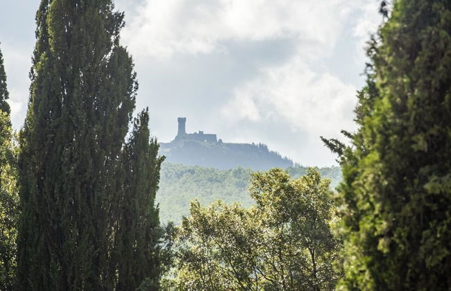 Verdidea - La Palazzina - Photo 48