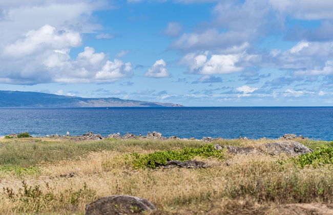 Kapalua Bay Villas 33b1 - Photo 23