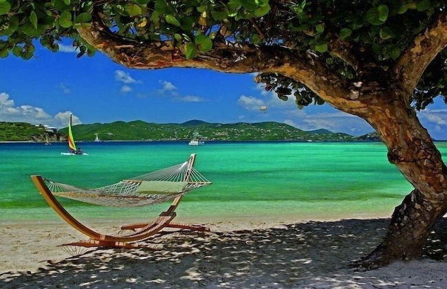 Ritz Carlton - Foto 41