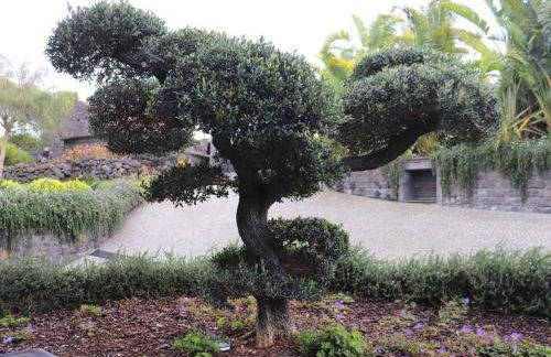 Holiday Home VILLA BONSAI by Interhome - Foto 45