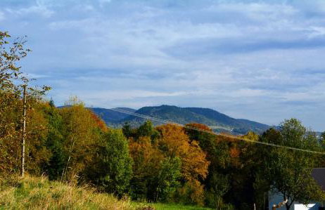 Leśna Muzyka Apartment Limanowa - Photo 39