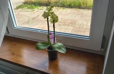 Apartamenty Stara Cegła - Foto 9