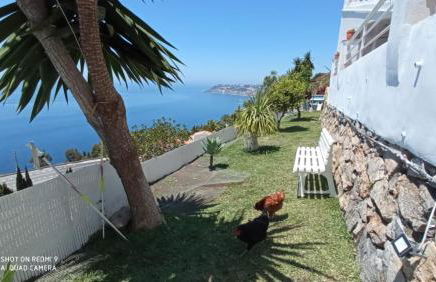 Villa Buganvilla en Salobreña - Foto 37