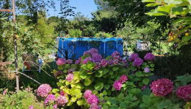 Villa Philipp'inn - Foto 5, Garden