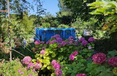 Villa Philipp'inn - Foto 5