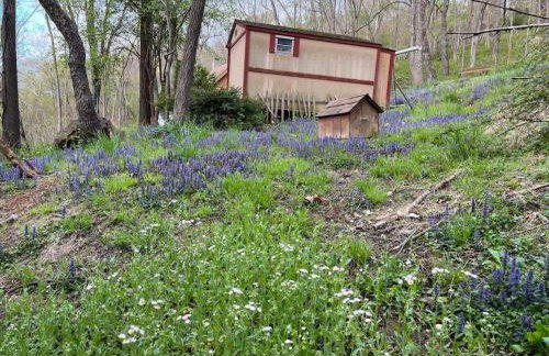 Cozy Cabin Escape Hot Tub & Lake Access - Foto 30