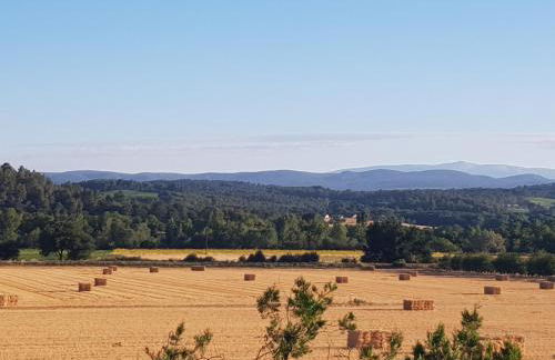 Entre blé et lavande - Foto 28