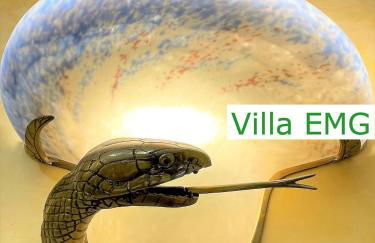 Luxus Ferienhaus Villa EMG Hannover, Messe, Braunschweig mit Sauna, Garten für Familien Gruppen bis 25 Personen - Foto 22