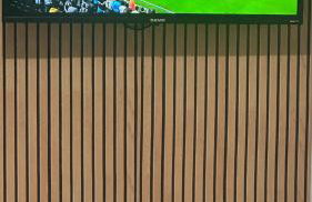 Pousada O Leão - Foto 11