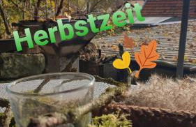 Tinyhaus Wolkenlos Familie Hamdorf - Photo 6