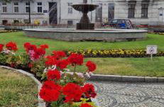 Apartament Książ - Foto 18