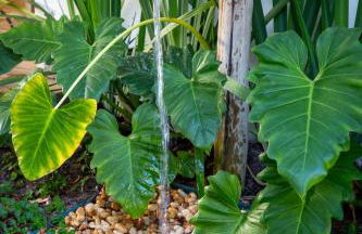 Casa Pini - Condomínio Altos de Trancoso, próxima ao Quadrado - Foto 46