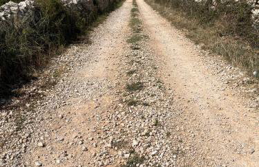 Villa Maslina - Photo 36