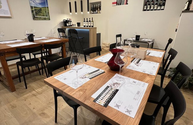 Dégustation de vins avec le producteur Visite la cave e vignoble - Photo 15
