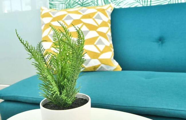 Broadway Suites Downtown by RocketStay - Foto 25