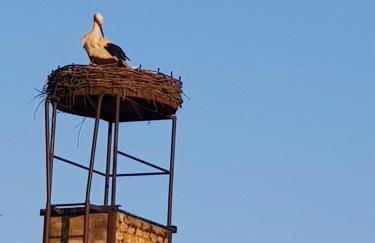 Ferienhaus Hankehübel - Foto 11
