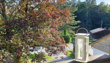 Arber Apartments - Zwieslerwaldhaus - Foto 3