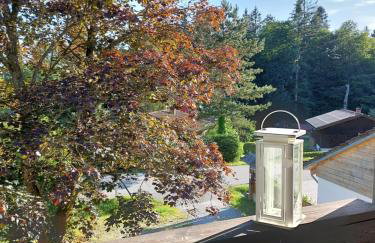 Arber Apartments - Zwieslerwaldhaus - Foto 3