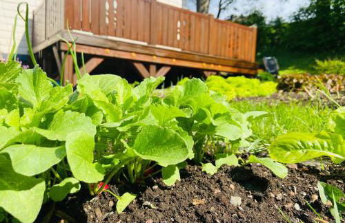 Ferienhof Alte Wildmeisterei - Fewo Gartenblick - Foto 27