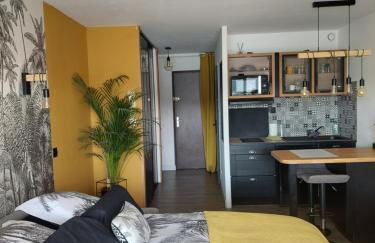 studio exposé plein sud vu sur le port de plaisance - Foto 6