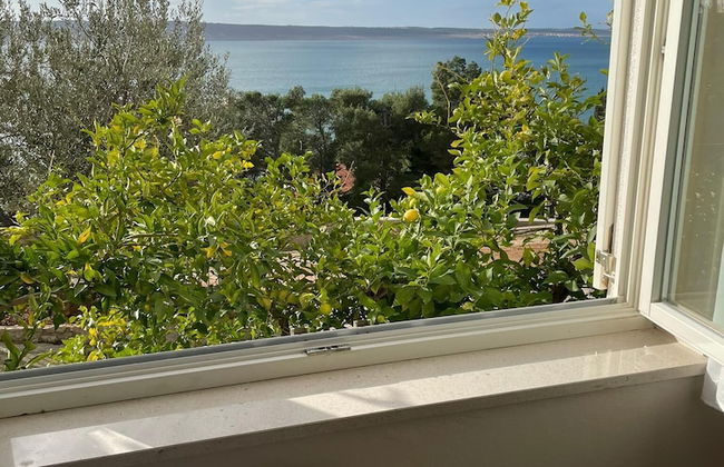 Apartments Natasa - Foto 13