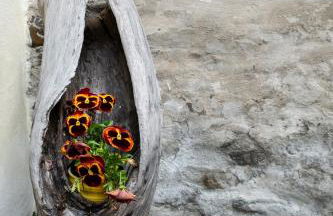 Il Vecchio Comune - Foto 10