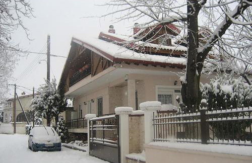 "The plane trees" - Foto 67