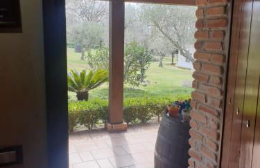 Agriturismo IL CASTAGNETO - Foto 15