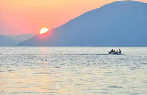 Heracles Guesthouse - Photo 6