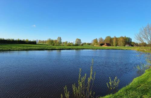 Caloroczny domek letniskowy ze stawem - Foto 22