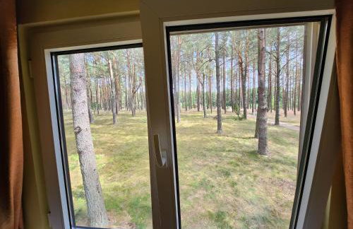 Jak Tu Sielsko - Foto 23