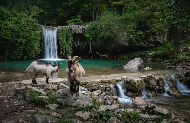 Pool Villa Maro In Nature - Foto 27