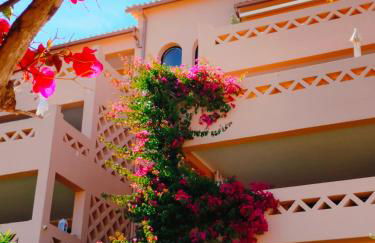 Apartamentos Turísticos Buganvilia - Foto 15