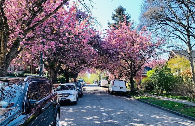 Vancouver West UBC-Adjacent Luxury Home Retreat 4B - Foto 3