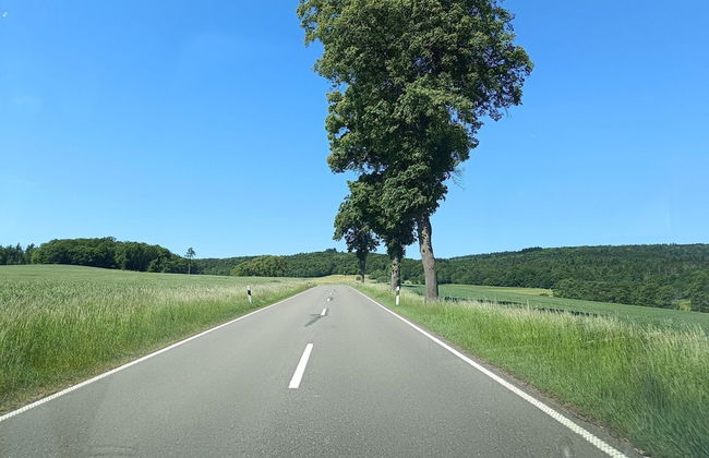 Ferienwohnung mit Bergblick - Foto 38