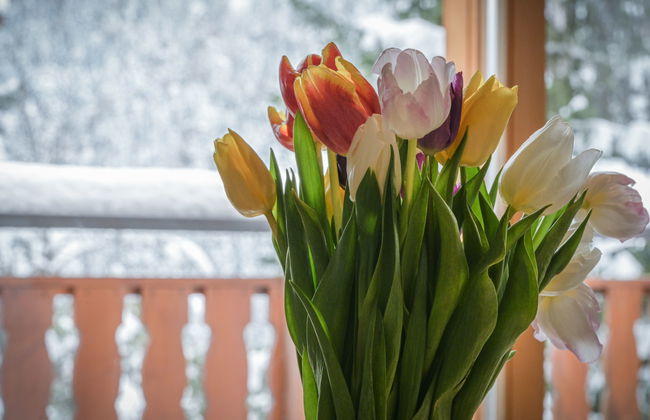 Heida A 4 - Photo 30