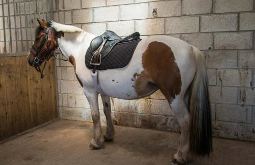 Trippet Cottage - Foto 28