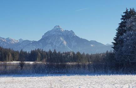 Ferienwohnung Carlina - Foto 2